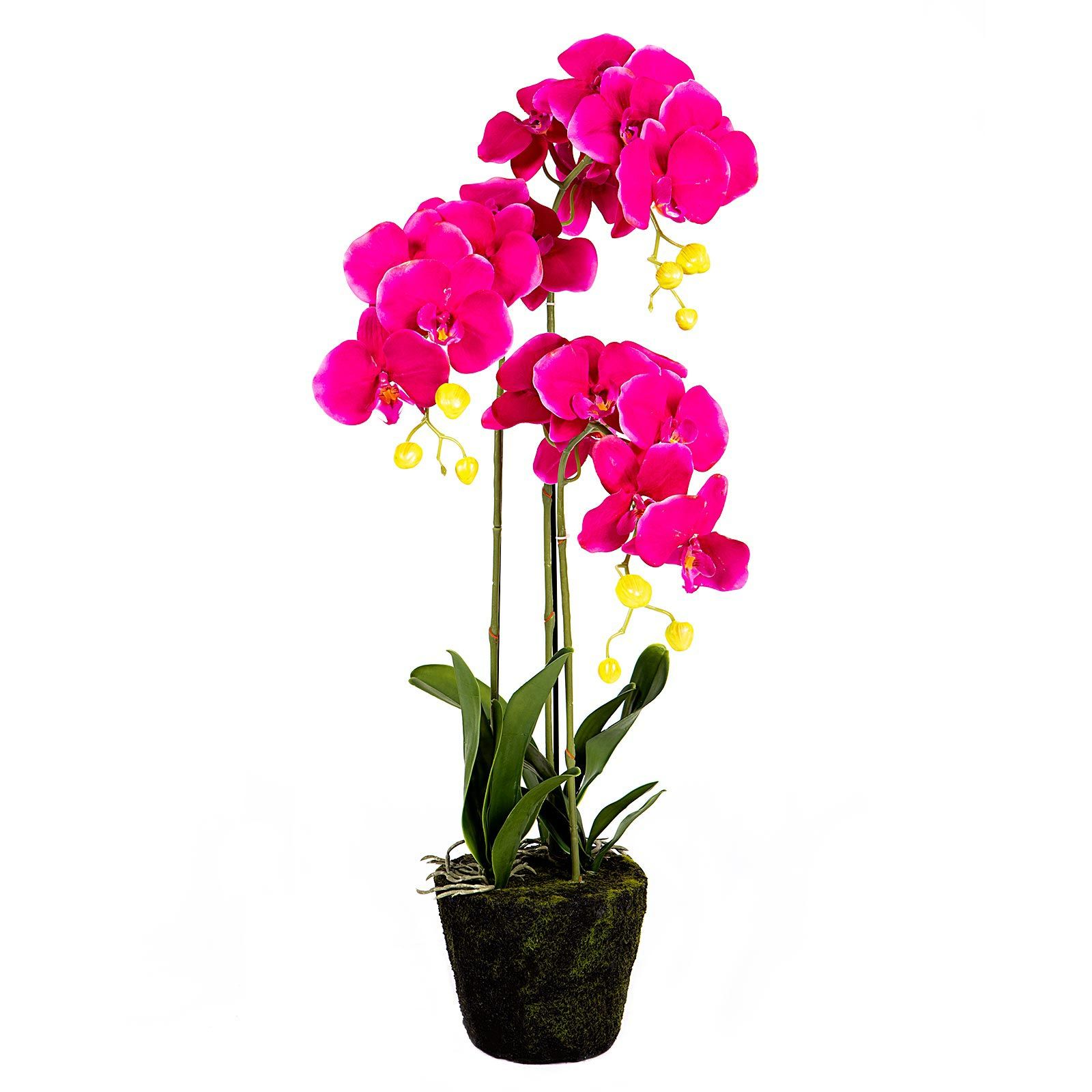 Supergreens Τεχνητό Φυτό Ορχιδέα Φούξια 85 εκ.