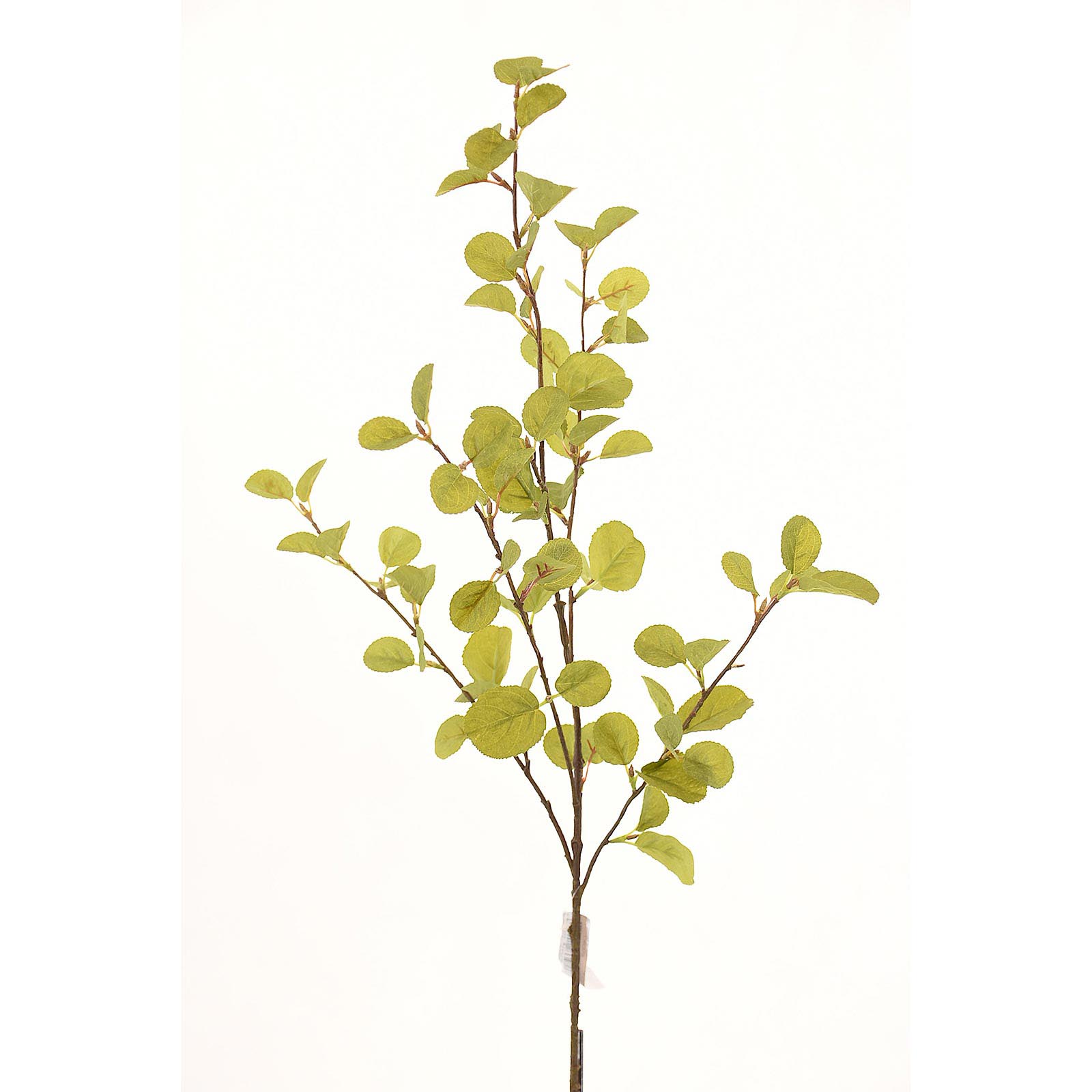 Supergreens Τεχνητό Κλωνάρι Πράσινο 100 εκ.