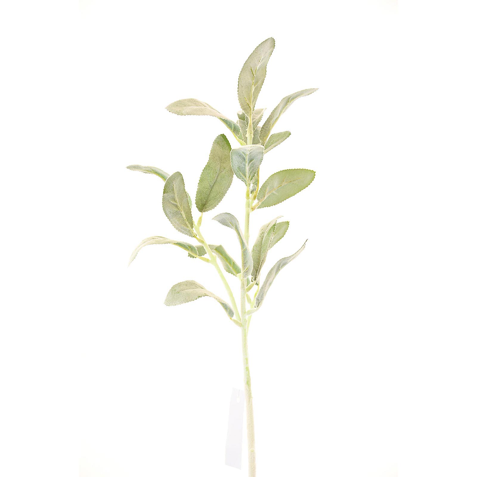 Supergreens Τεχνητό Κλωνάρι Πράσινο 78 εκ.