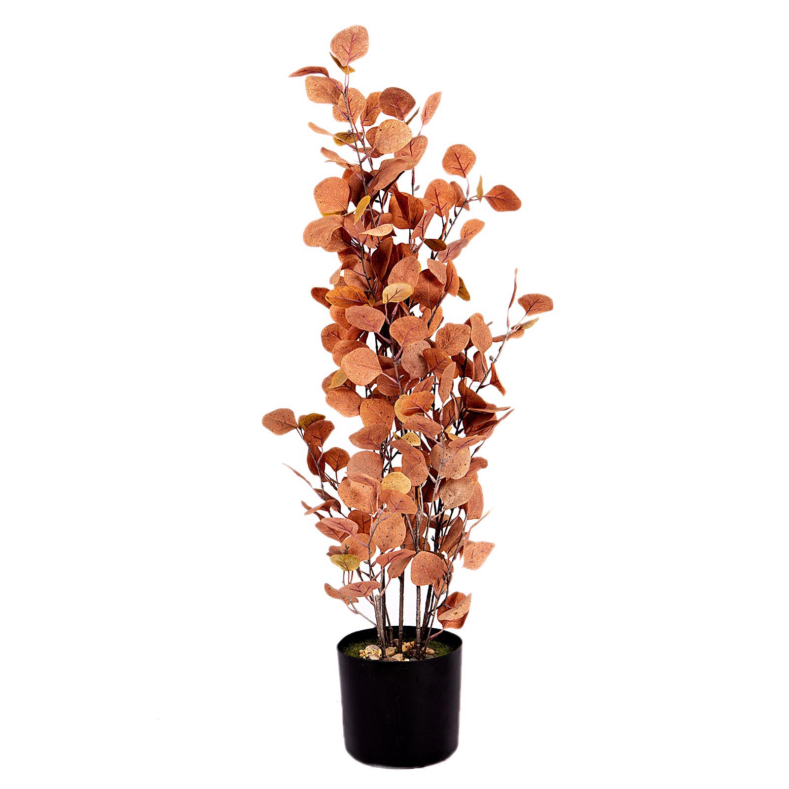 Supergreens Τεχνητό Φυτό Παχίρα Πορτοκαλί 94 εκ.