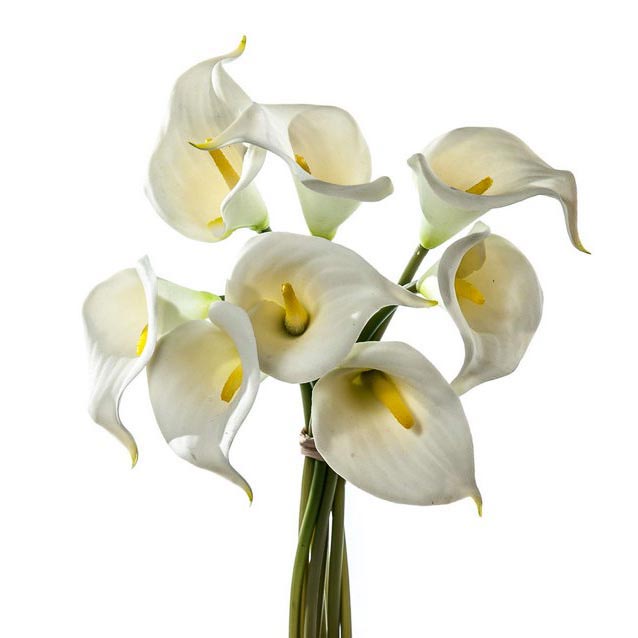 Supergreens Τεχνητό Μπουκέτο Κάλλα Άσπρο.