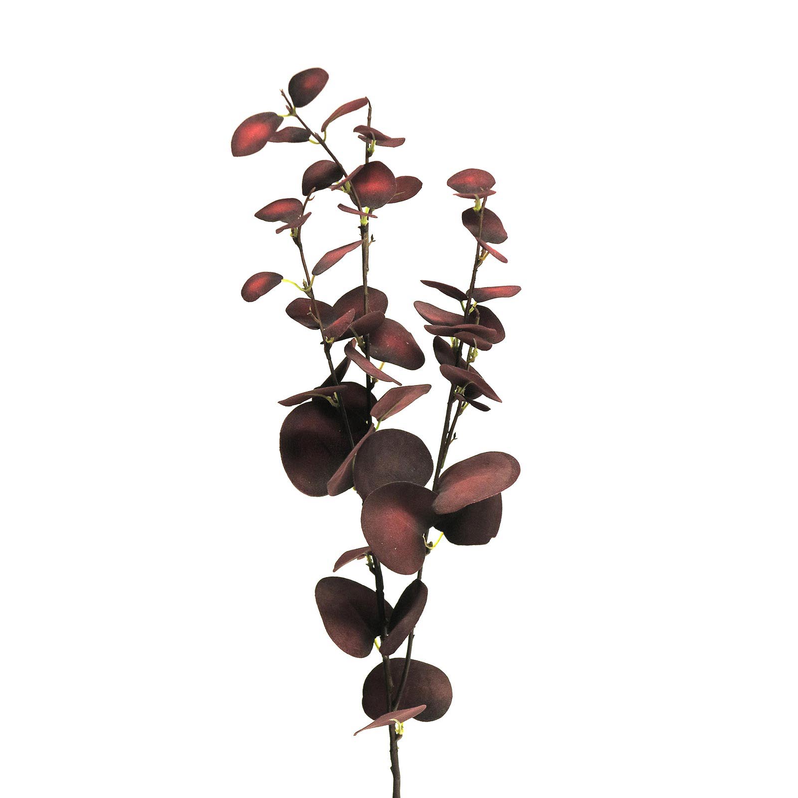 Supergreens Τεχνητό Κλωνάρι Ευκάλυπτος Κόκκινο 72 εκ.