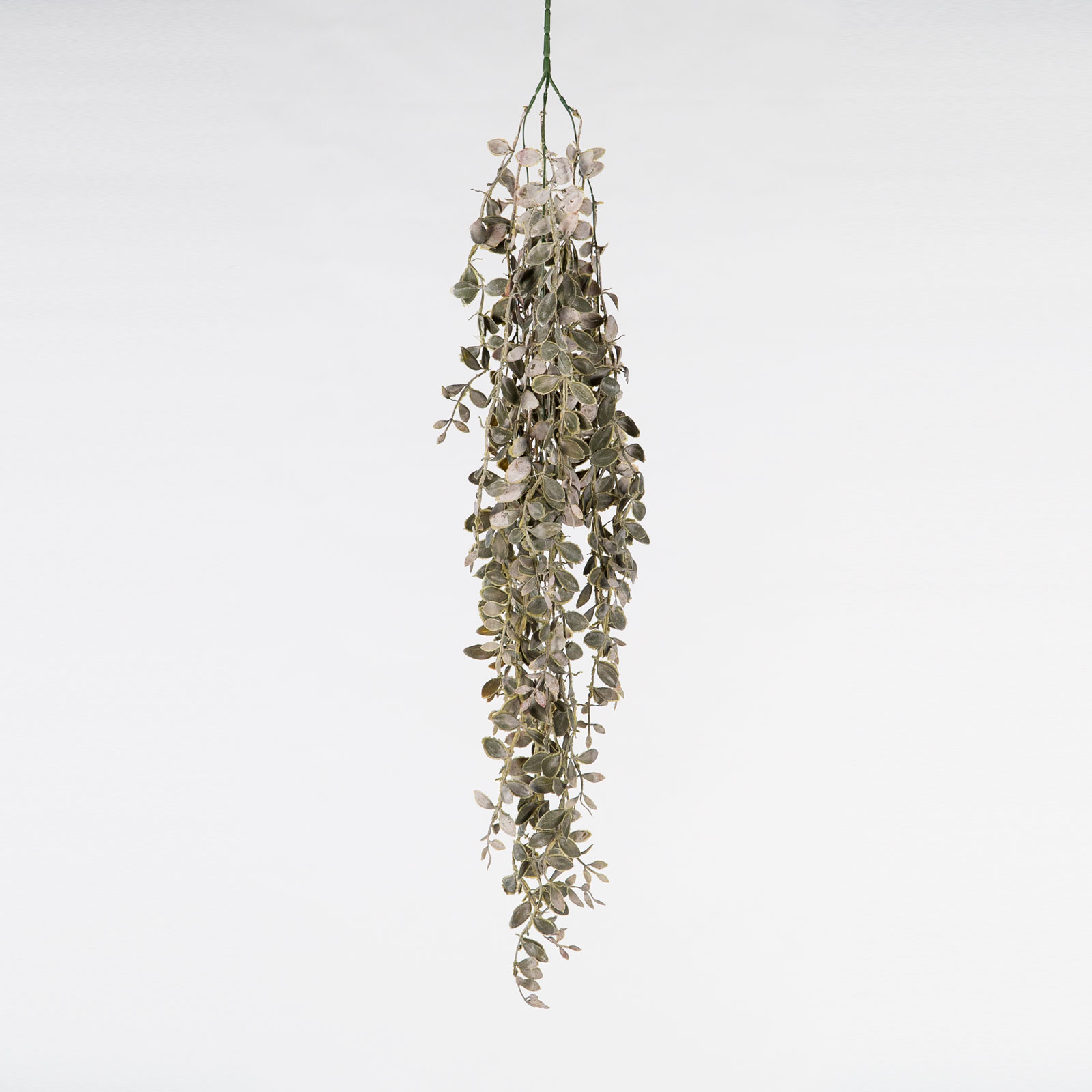 Supergreens Τεχνητό Κρεμαστό Φασκόμηλο Γκρι.