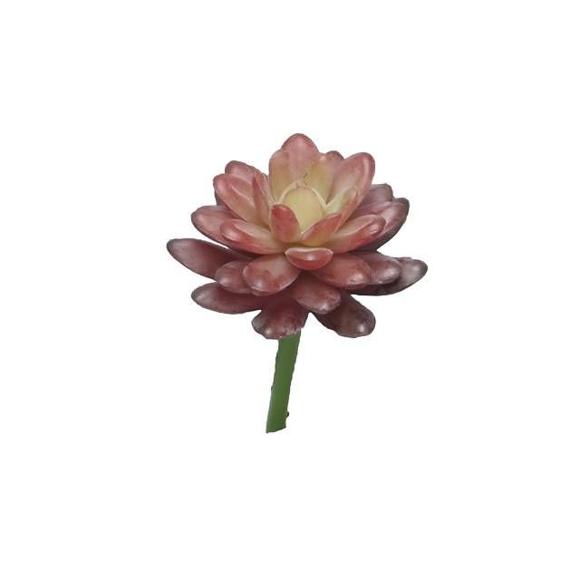 Supergreens Τεχνητό Χωνευτό Παχύφυτο Κόκκινο 16 εκ.