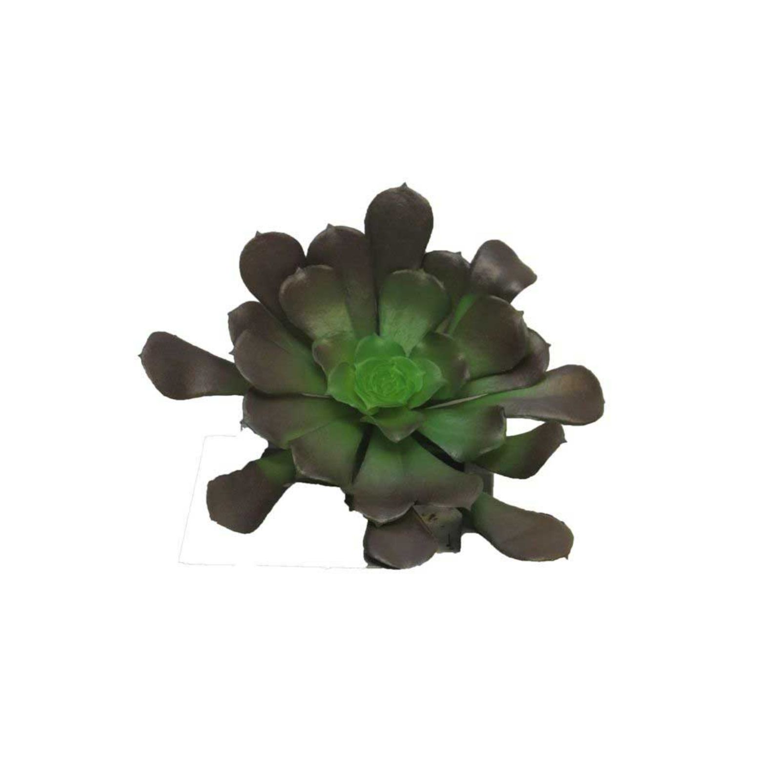 Supergreens Τεχνητό Χωνευτό Παχύφυτο Καφέ 10 εκ.