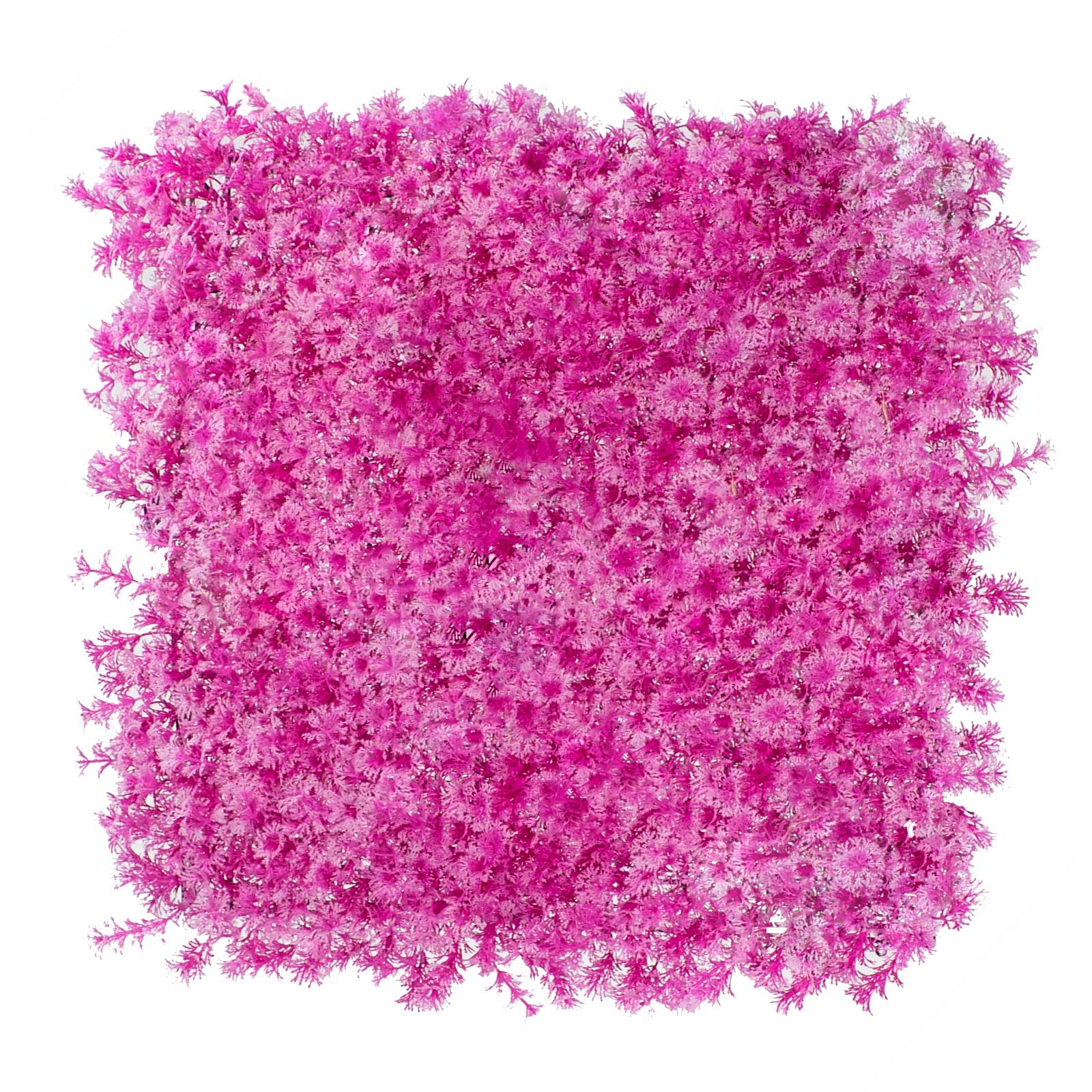 Supergreens Τεχνητή Φυλλωσιά Φούξια 50x50 εκ.