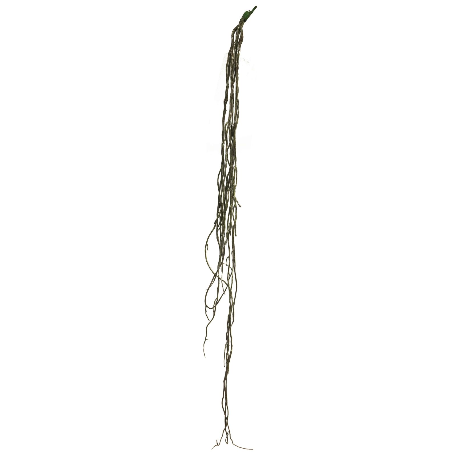 Supergreens Τεχνητό Κρεμαστό Χορτάρι Μαύρο 110 εκ.