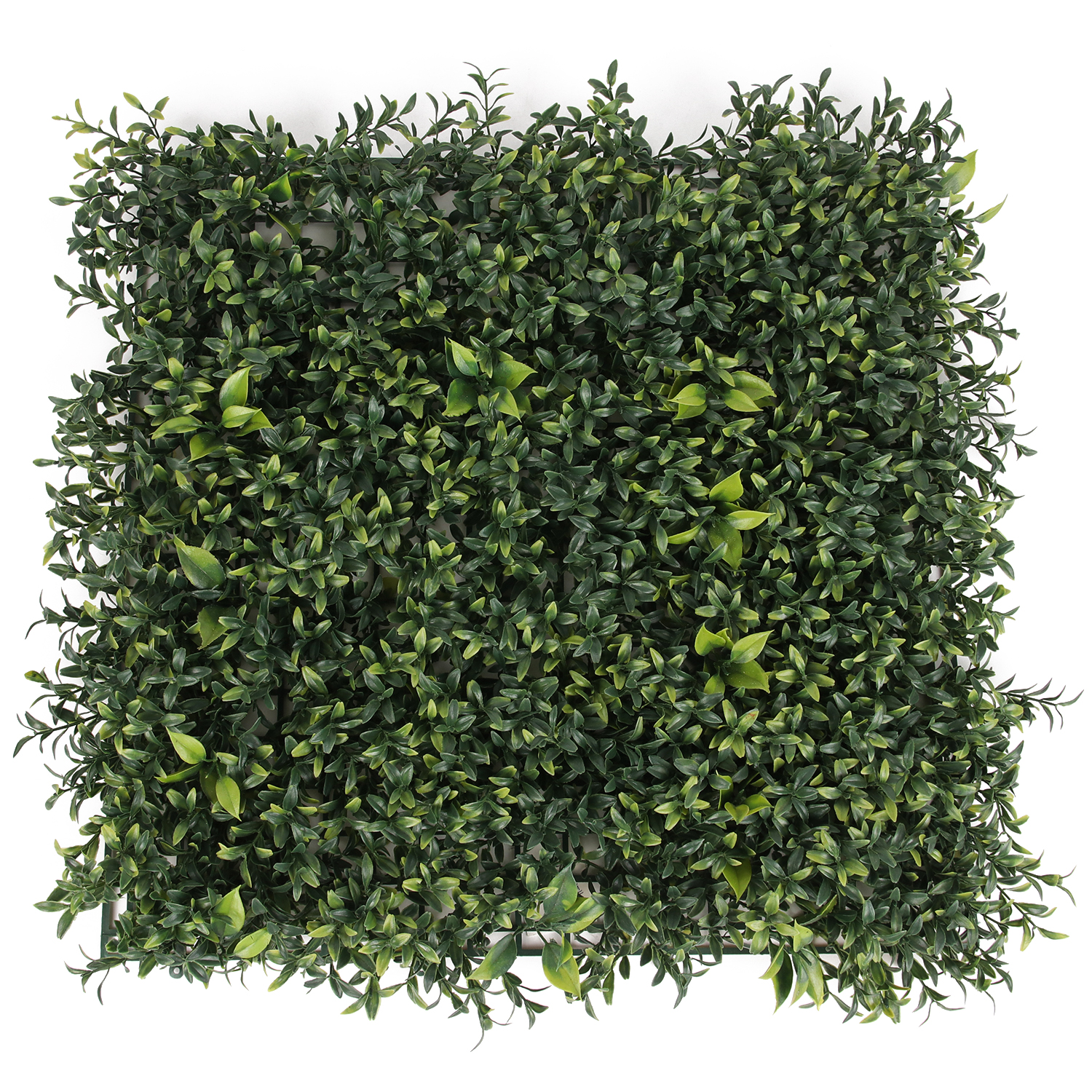 Supergreens Τεχνητή Φυλλωσιά Ρούσκος 50Χ50 εκ.