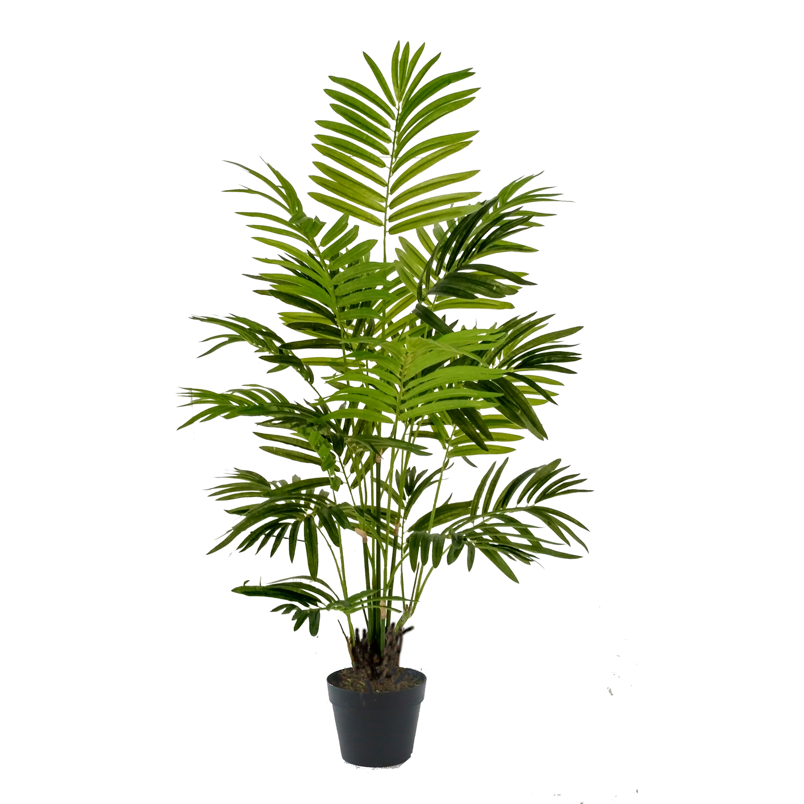 Supergreens Τεχνητό Φυτό Φοίνικας Χαμαιδώρεα  Elegans 100 εκ.