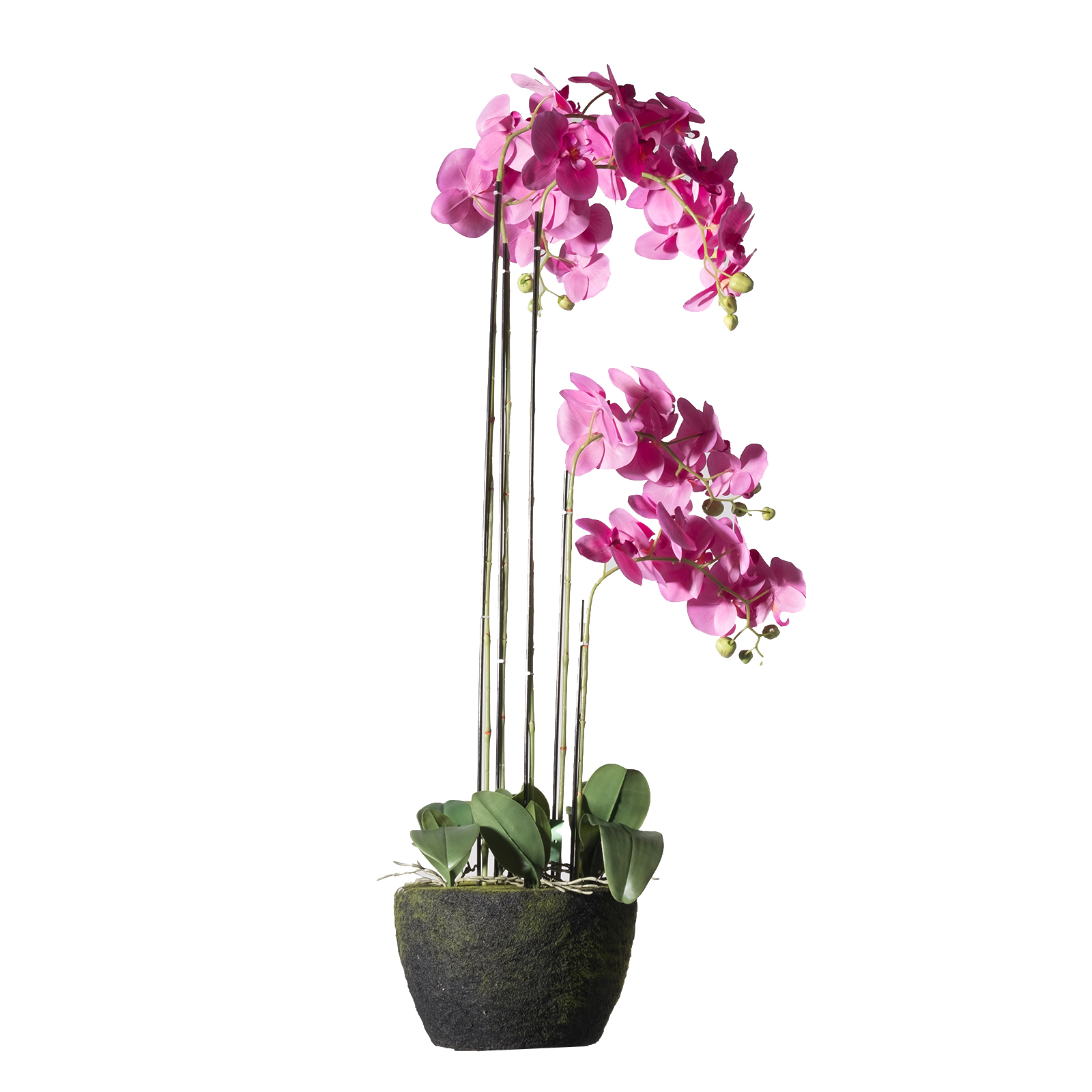 Supergreens Τεχνητό Φυτό Ορχιδέα Phalaenopsis Real Touch Φούξια με Βάση Moss 110 εκ.