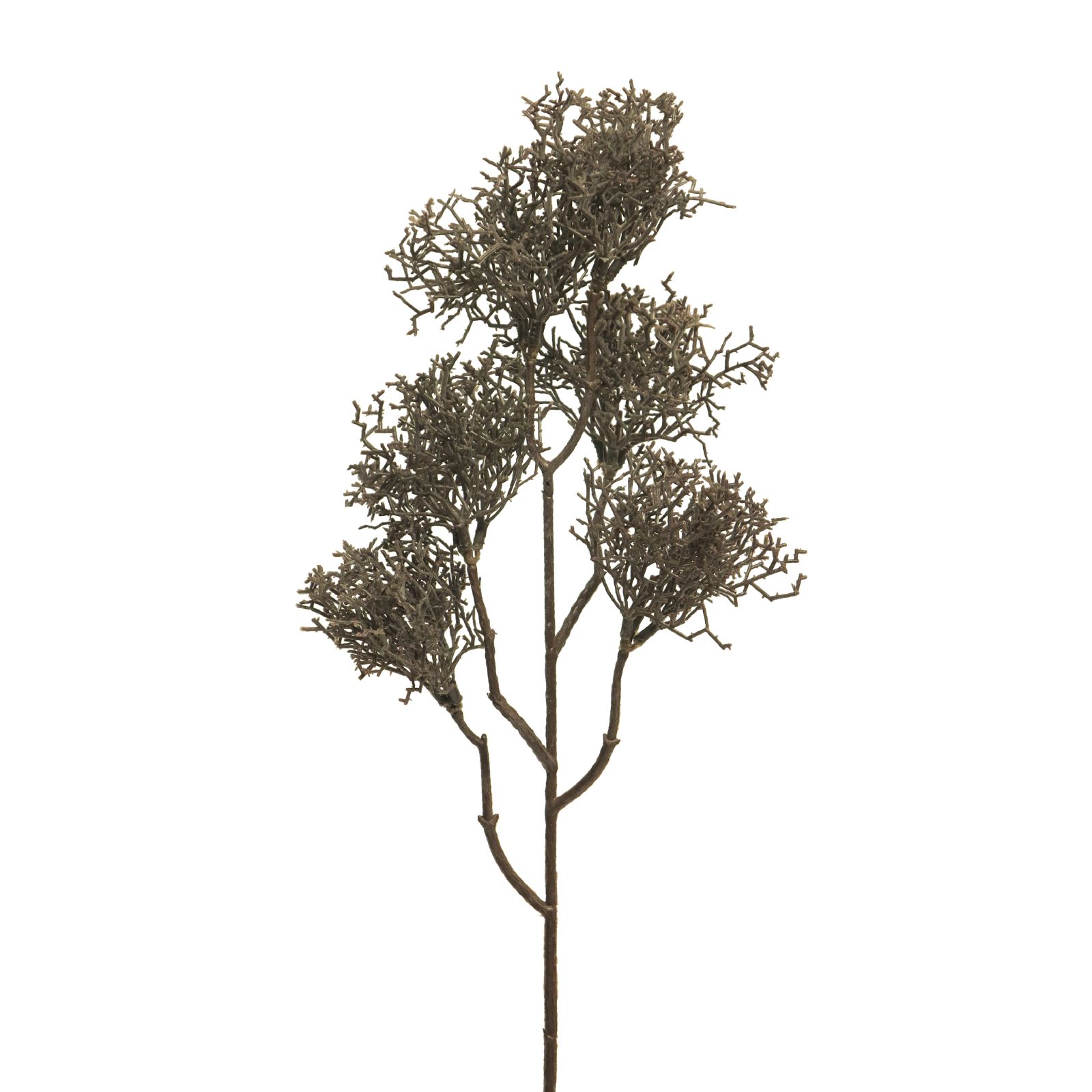 Supergreens Τεχνητό Κλαδί Κοράλι Καφέ 55 εκ.