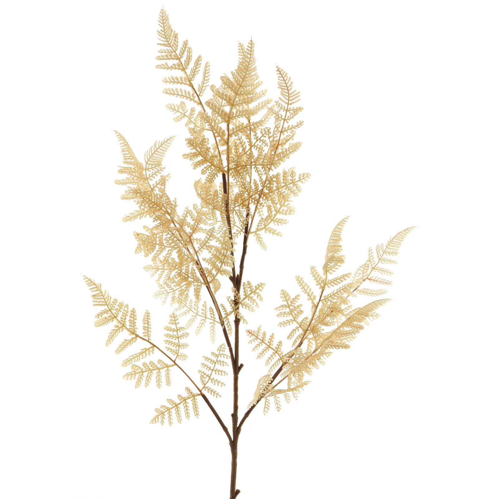 Supergreens Τεχνητό Κλαδί Φτέρη  Μπεζ 89 εκ.