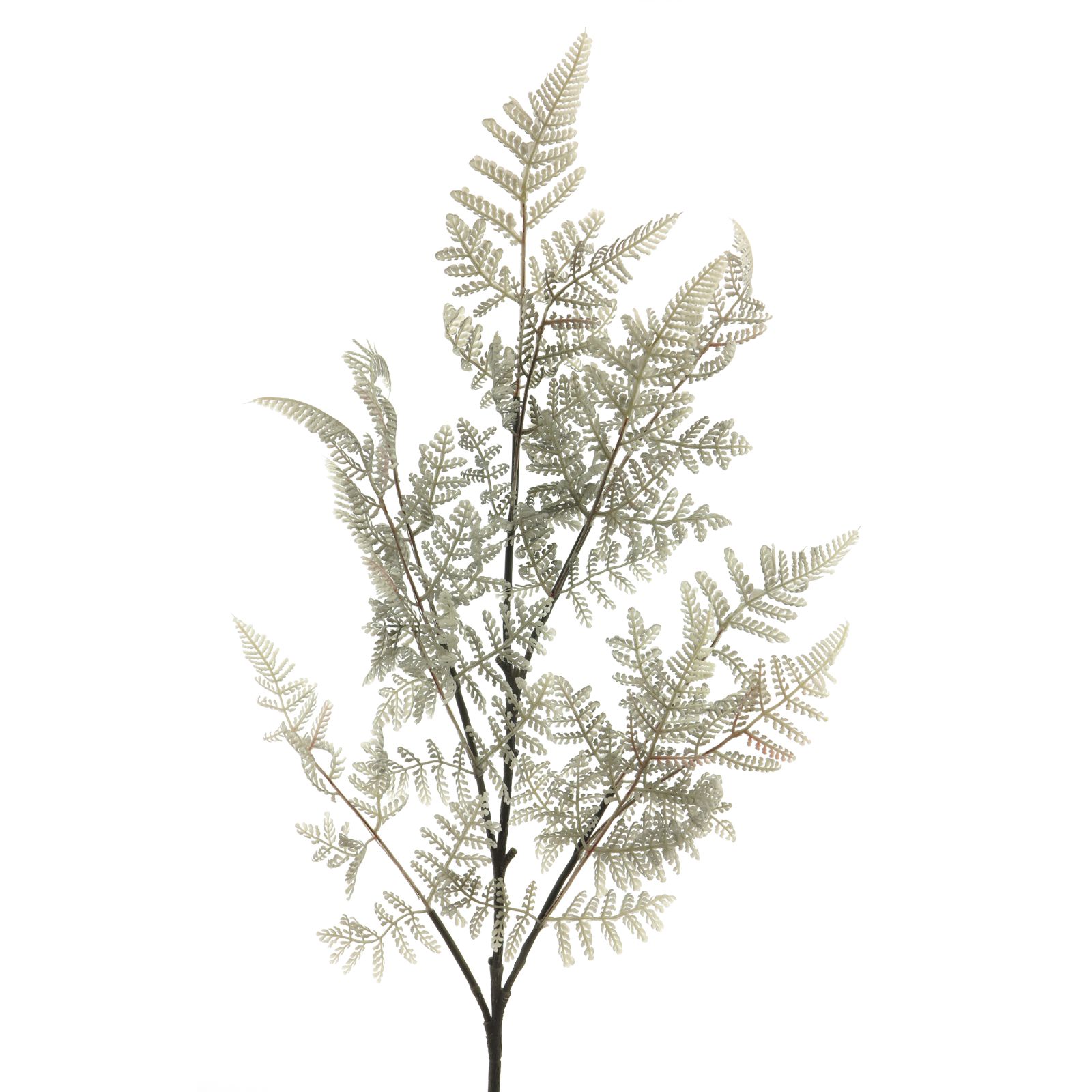Supergreens Τεχνητό Κλαδί Φτέρη  Γκρι 89 εκ.