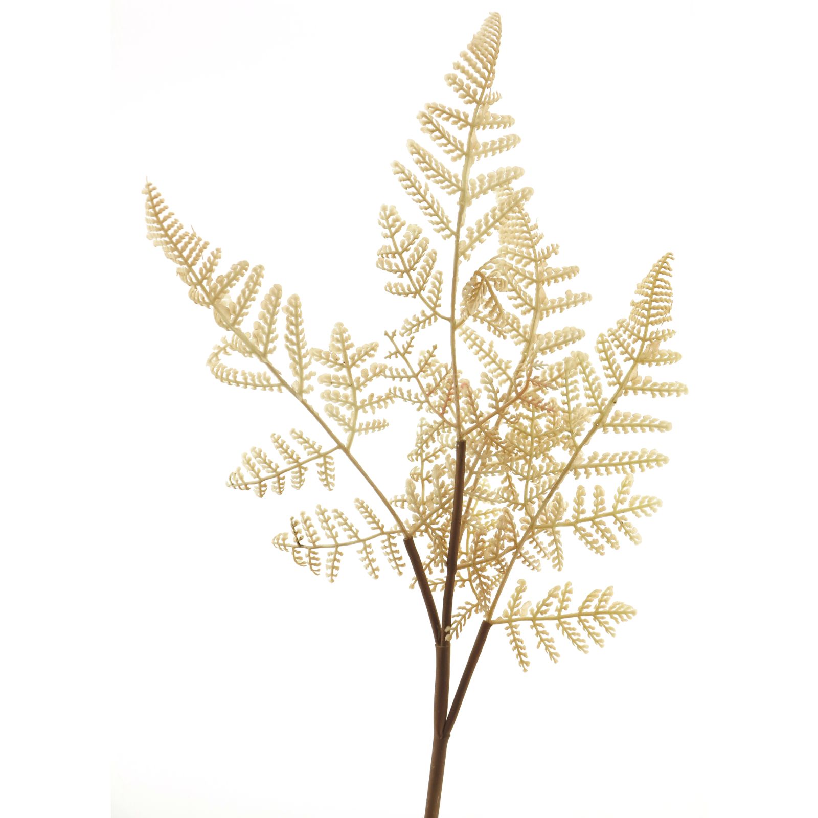 Supergreens Τεχνητό Κλαδί Φτέρη Μπεζ 53 εκ.