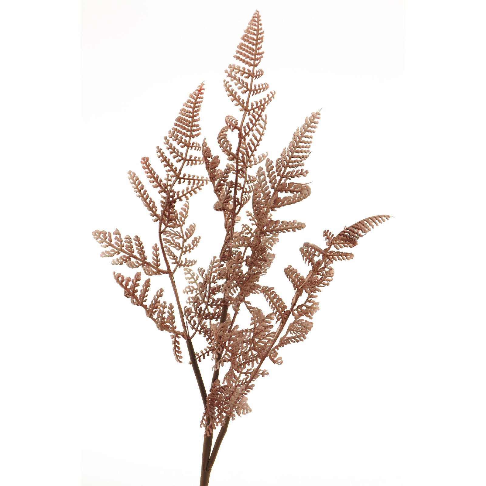 Supergreens Τεχνητό Κλαδί Φτέρη Ροζ 53 εκ.