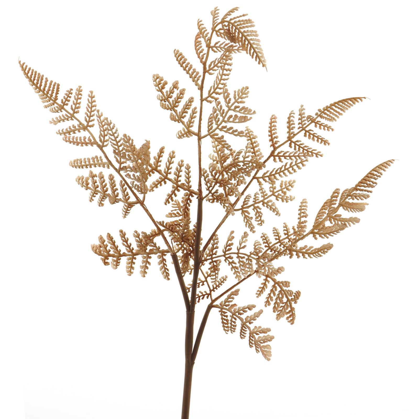 Supergreens Τεχνητό Κλαδί Φτέρη Καφέ 53 εκ.