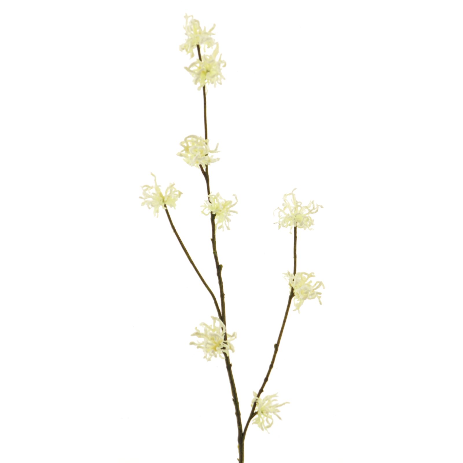 Supergreens Τεχνητό Κλαδί Αμαμηλίς Κρεμ 79 εκ.