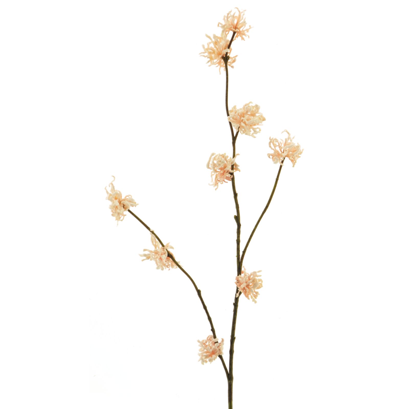 Supergreens Τεχνητό Κλαδί Αμαμηλίς Μπεζ 79 εκ.