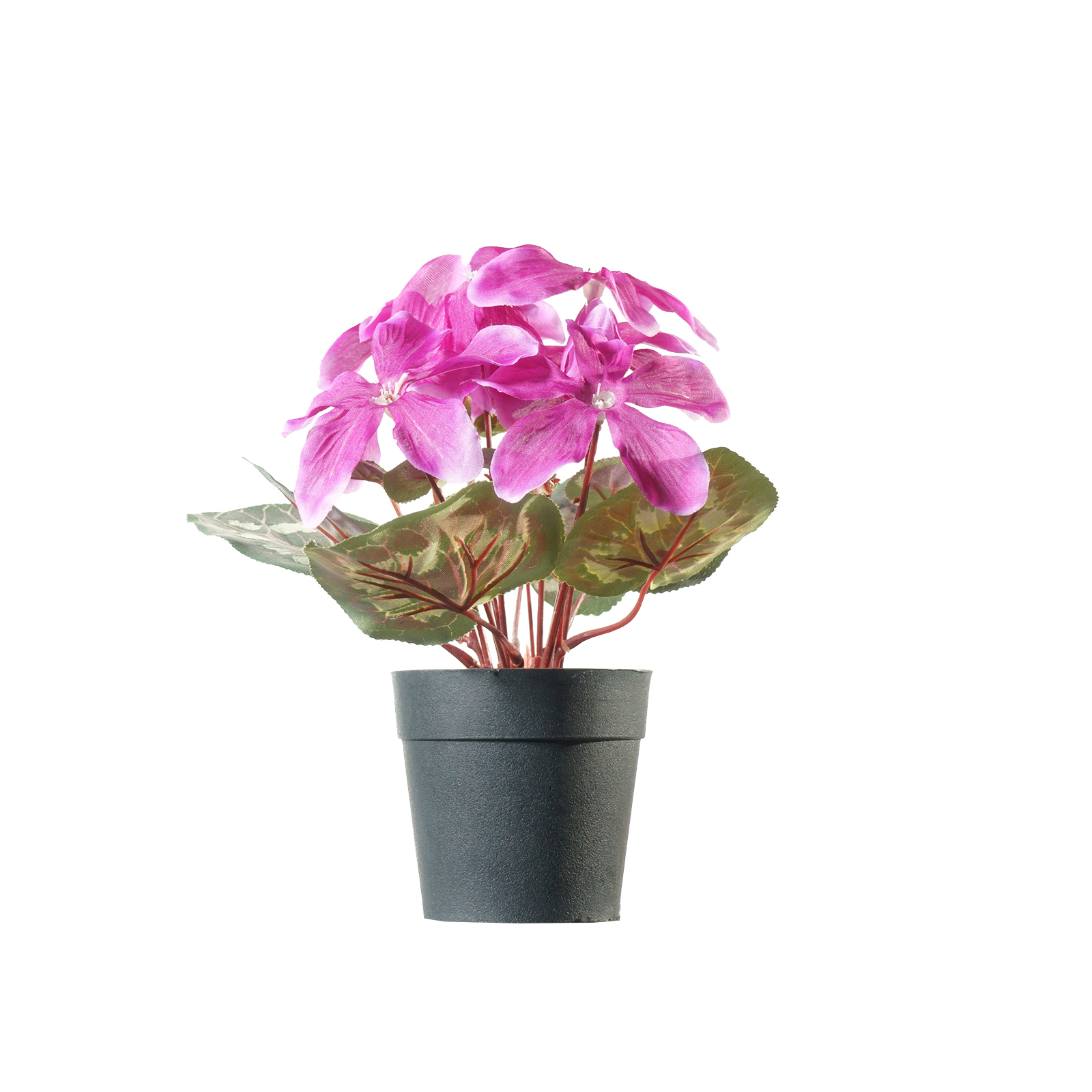 Supergreens Τεχνητό Φυτό Κυκλάμινο Φούξια 28 εκ.