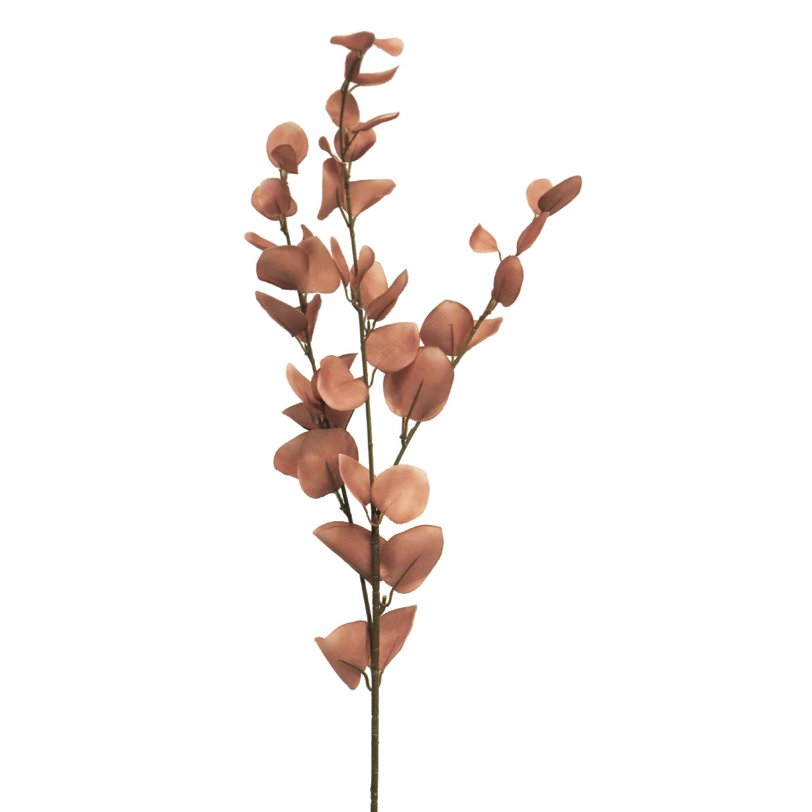 Supergreens Τεχνητό Φύλλο Ευκάλυπτος Καφέ 78 εκ.