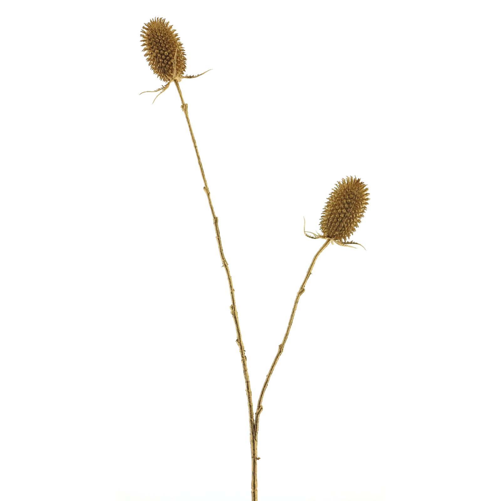 Supergreens Τεχνητό Κλαδί Ερύγγιο Χρυσό 82 εκ.