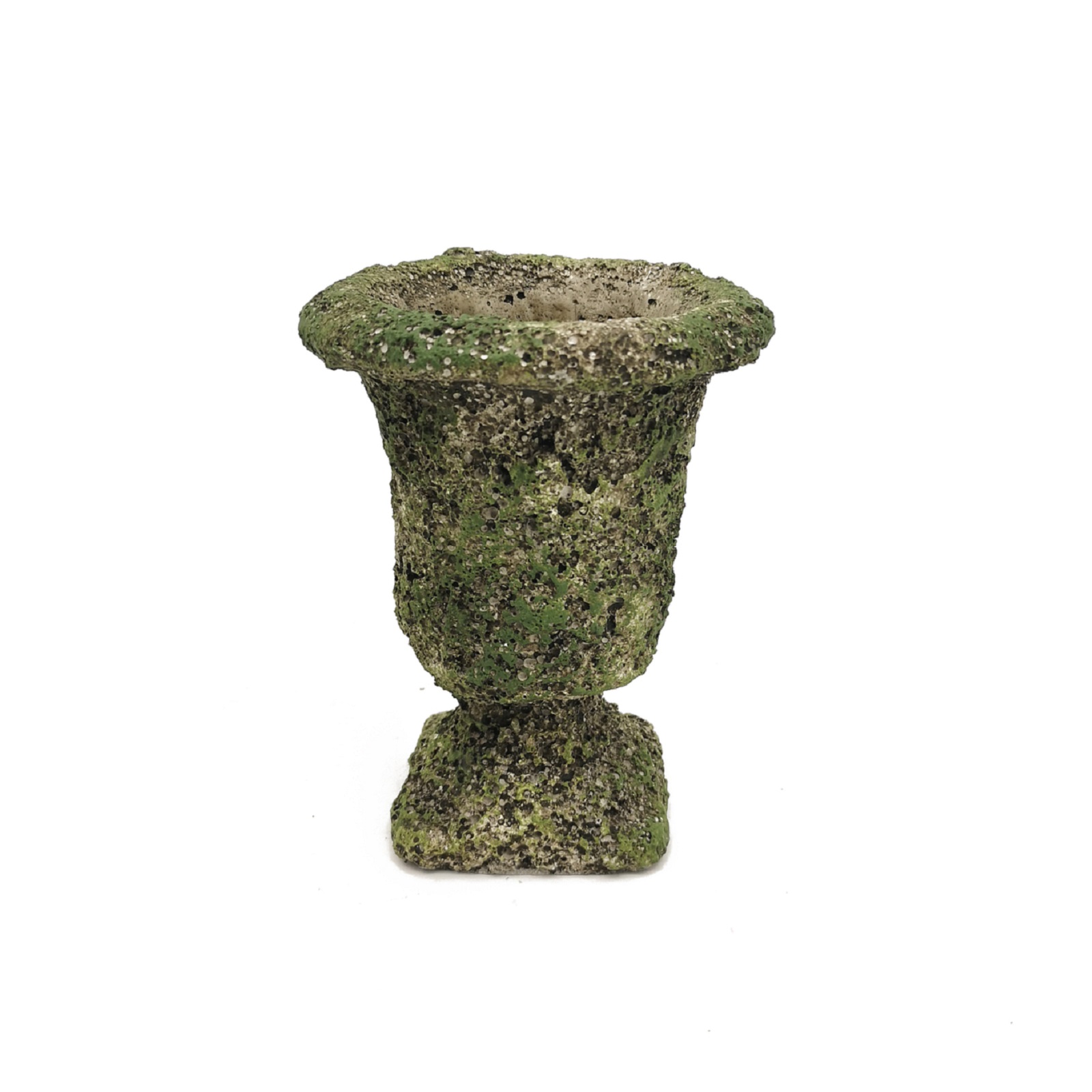 Supergreens Αμφορέας Τσιμεντένιο Moss 14,5x14,5x18,5 εκ.